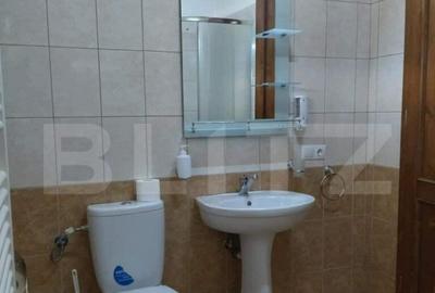 Cabana de vanzare in Stramba - 13