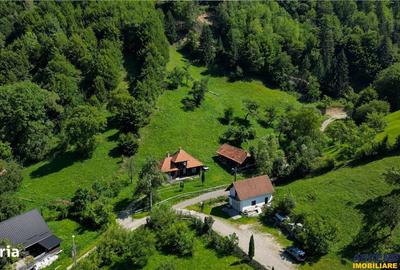 Casă cu 2 camere decomandat cu Teren 4300 Mp în Bran - 16