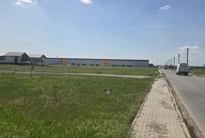 Teren de 700 mp, în Dragomirești-Vale - 10