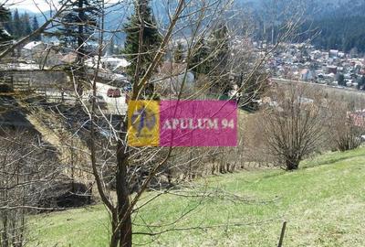 Teren de vânzare în Bușteni - Zona Zamora - 19