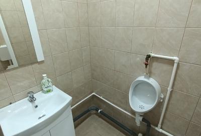 Spațiu Comercial Premium – 130 mp, Strada Industriei 132, Brăila | Vad excepțion - 10