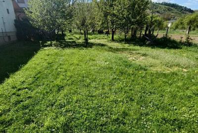 Teren intravilan pentru constructie casa individuala, Lona - 1