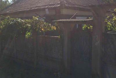 Casă cu 5 camere cu Teren 3000 Mp în Orevița Mare - 3