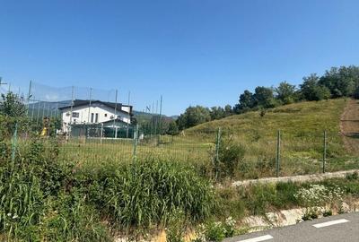 Spațiu comercial, în Jiblea Nouă - 3