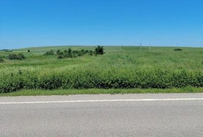 Teren de 3600 mp, în Cernele - 2