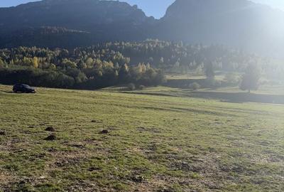 Spațiu comercial, în Central - 6