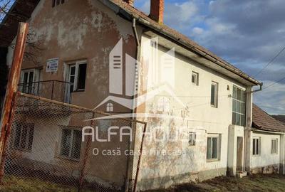 Casă cu Teren 825 Mp în Lăpușnicu Mare - 2