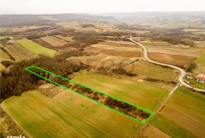 Spațiu comercial, în Ceica - 1