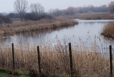 Teren intravilan 609 mp Vidra, deschidere 24 m, ideal pentru constructie - 2