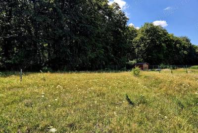 Comision 0%, intravilan 1000 mp, Sambata de Sus, Brasov - 2