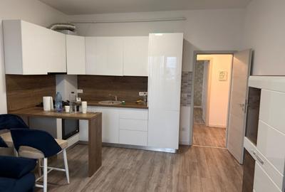 Apartament cu 2 camere semidecomandat, mobilat în Chișoda - 14