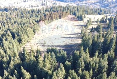 Teren agricol extravilan de 16289 mp, în Coverca - 6