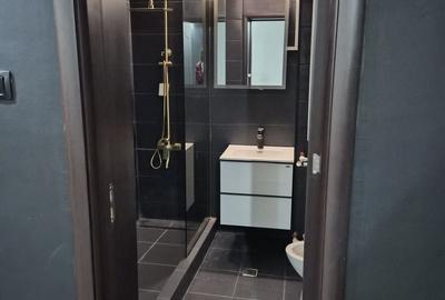 De vânzare Vilă individuala 11 camere curte proprie Parcul Carol - 10