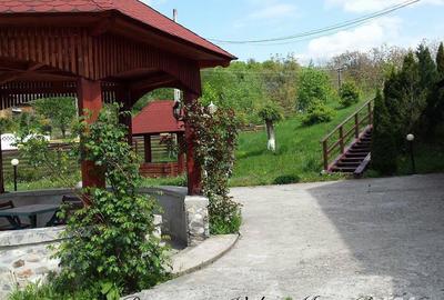 Casă cu 9 camere în Valea Mare - 3