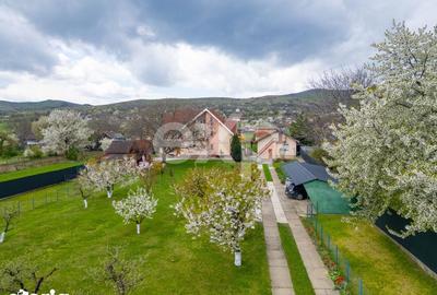 Casă cu 5 camere cu Teren 3659 Mp în Sărata - 16