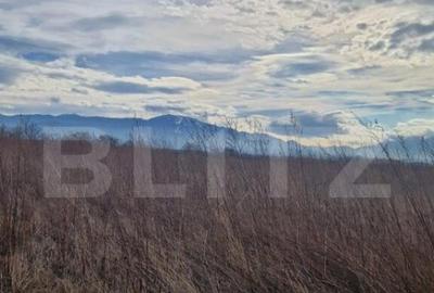 Teren de 1500 mp, în Central