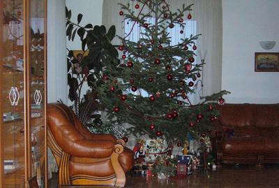 Casă cu 4 camere în Chiuzbaia - 4