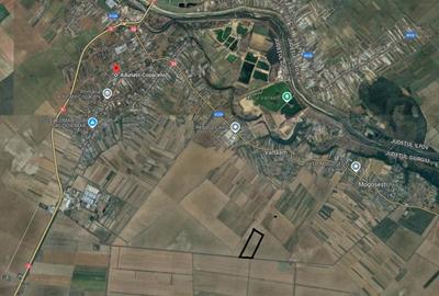 Teren Construcții intravilan de 15205 mp, în Adunații-Copăceni - 4