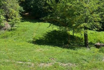 Teren de 12225 mp, în Aranghel