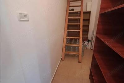 Casa individuala pe parter Sagului-Liviu Rebreanu - 9