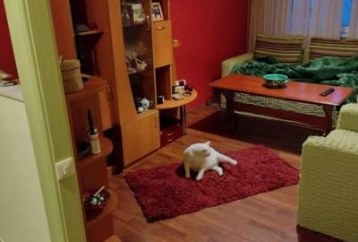 DE VANZARE-APARTAMENT 4 CAMERE-ALEXANDRU CEL BUN - 2