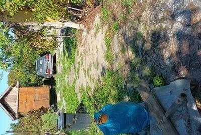 Casă cu 3 camere în Sânandrei - 1