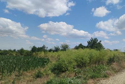 CLINCENI- COLECTORIL DE APA - 3