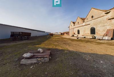 Teren și hale pe calea Aradului în Periam - 5