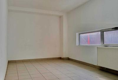 Spațiu comercial, de 450 mp, în Micălaca - 3