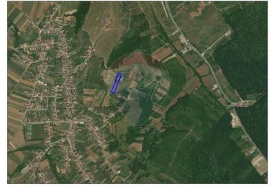 Teren intravilan 4589 mp de vanzare in Cordau, Baile Felix-1 Mai Teren intravilan 4589 mp de vanzare in Cordau, Baile Felix-1 Mai - 2