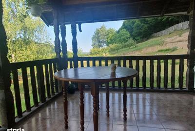 Casă cu 5 camere cu Teren 4000 Mp în Cricău - 4
