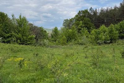 Teren de 8329 mp, în Ciuta - 2