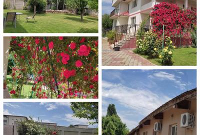 Vanzare vila, afacere familie, investie imobiliara, Magurele, Ilfov - 2