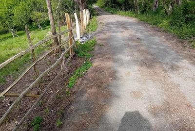 Teren de vanzare in Bradulet Arges - 11