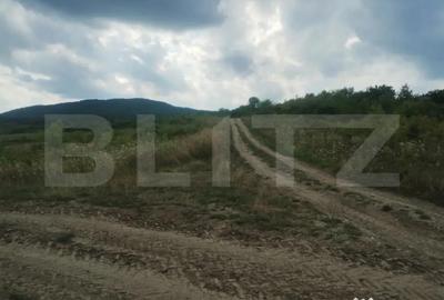 Teren de 5100 mp, în Sigmir - 2