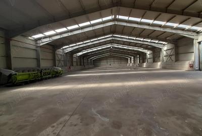 Industrial hall for sale in Filipe?ti, Braila 2,250 sqm hall on 30,000 sqm land for construction - 3