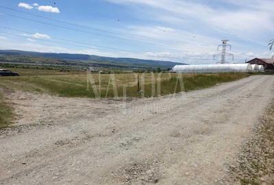 Teren extravilan industrial de inchiriat in Iris, Cluj Napoca - 4