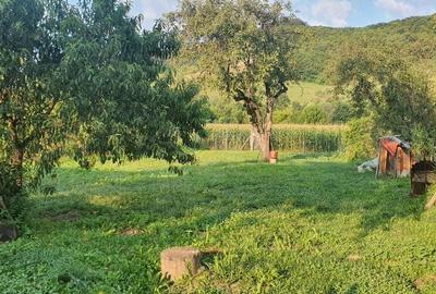 Casă cu 3 camere în Bord - 5