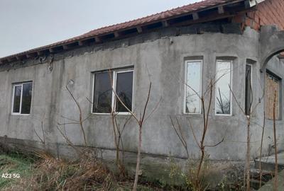 Casa de vânzare în pecica - 3