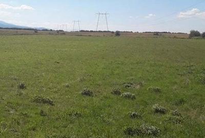 Teren de 27000 mp, în Drăguș - 3