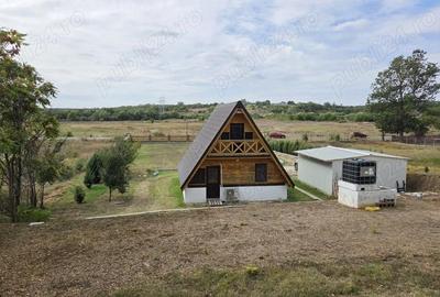 Casă cu 3 camere cu Teren 2500 Mp în Găiseanca - 10