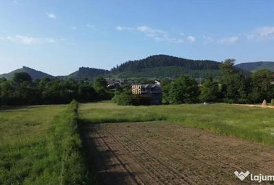 Teren de 10304 mp, în Slatina - 6