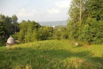 Teren intravilan Breaza (Prahova) - 1223 mp Teren intravilan Breaza (Prahova) - 1223 mp - 3