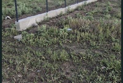 Spațiu comercial, în Costi - 4