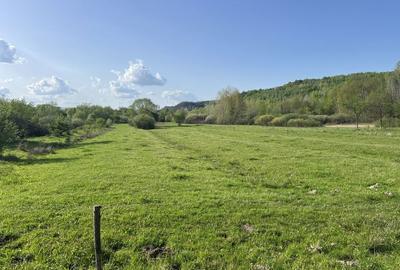 Casă cu 3 camere în Vărzari - 1