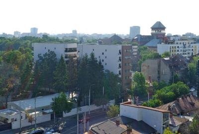 Garsoniera inchiriere , Pet friendly - Piata Victoriei - Banu Manta - 2