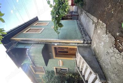 Vand casa zona Blascovici - 9