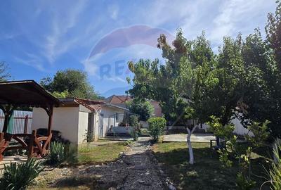 Casa cu etaj deosebita in Chisineu-Cris - un camin creat cu suflet - 14