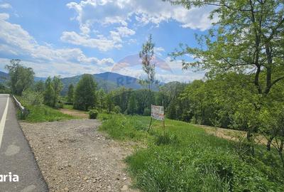 Teren de 2910 mp, în Hangu - 11