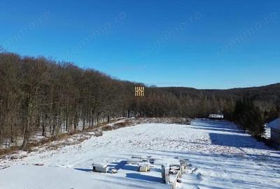 Teren de 9850 mp, în Dragomirna - 6